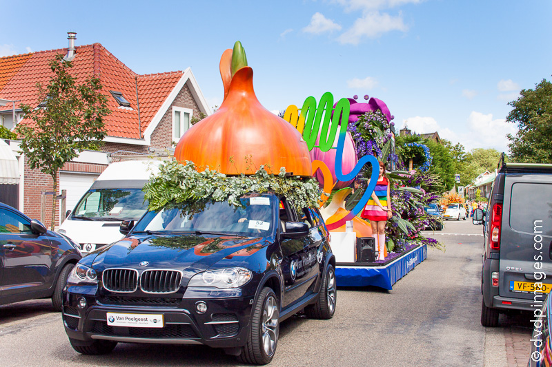 "Duin en Bollenstreek Buzzes"