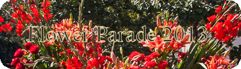 Flower Parade 2013